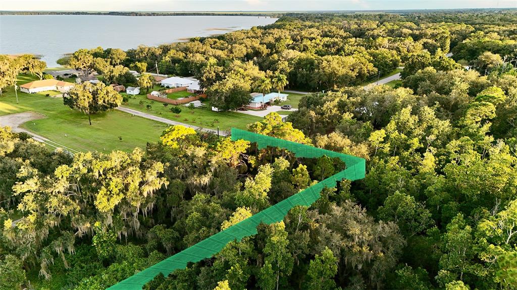 An aerial view shows a wooded lot with a green property boundary overlay near a lake — 1514 BLACKWILLOW STREET, LAKE PLACID, FL
