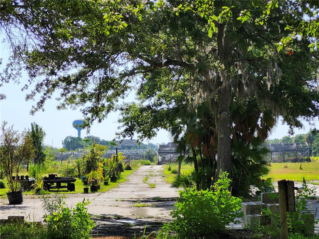 A paved path leads through a nursery area with trees, potted plants, and distant greenhouses — 1955 S APOPKA VINELAND ROAD, ORLANDO, FL