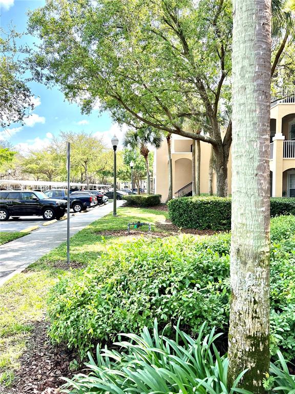 A palm tree stands in the foreground of a sunny apartment complex parking lot — 6214 STEVENSON DRIVE UNIT 307, ORLANDO, FL