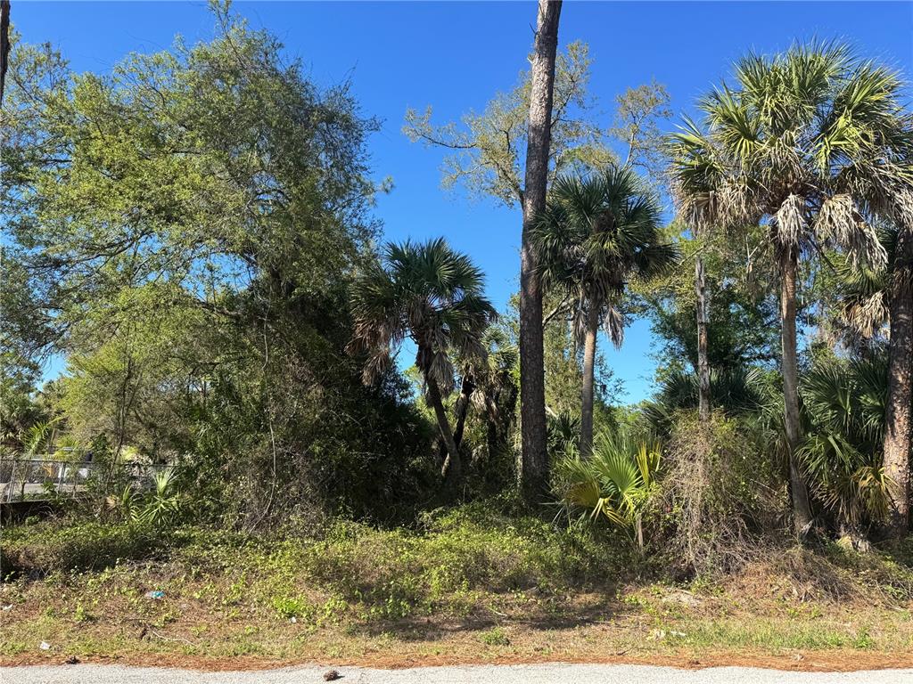 A wooded residential lot features several tall palm trees and dense native vegetation — 17418 BRIGHTON AVENUE, PORT CHARLOTTE, FL