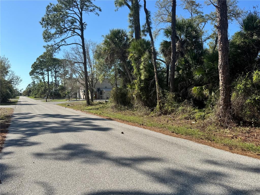 A paved road runs alongside a wooded lot with tall pine trees and palm trees — 17418 BRIGHTON AVENUE, PORT CHARLOTTE, FL