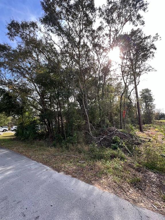 A paved road runs alongside a wooded lot with a pile of brush and debris — BAHIA TERRACE, OCALA, FL