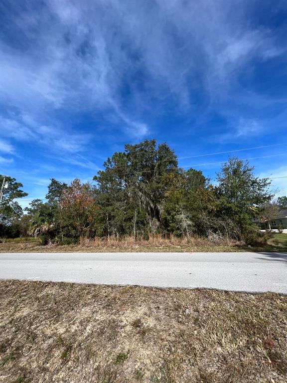 A vacant, wooded lot sits behind a paved road under a clear blue sky — BAHIA TERRACE, OCALA, FL