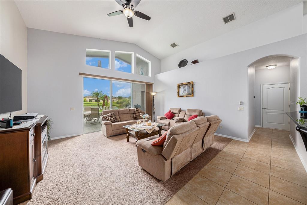 A living room with carpeted floors, vaulted ceilings, and a sliding door overlooking a pond — 20017 PAINTING NATURE LANE, TAMPA, FL