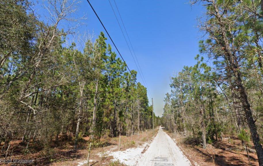 A dirt road runs through a wooded area with tall pine trees and utility lines — HILLS ROAD, MELROSE, FL