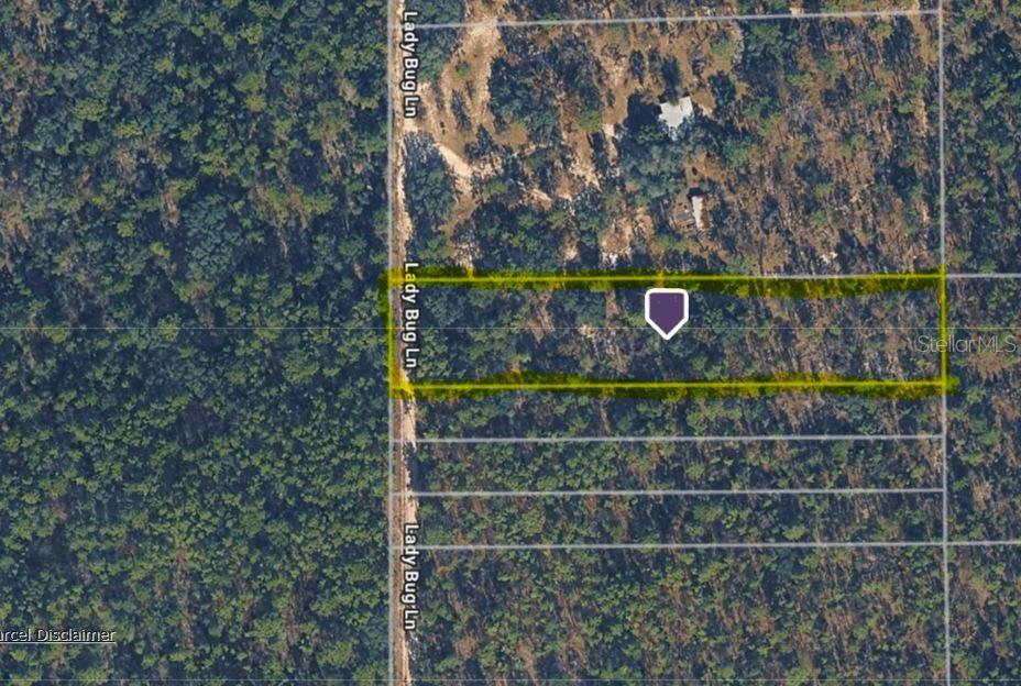 An aerial map view shows a rectangular plot of land outlined in yellow on Lady Bug Lane — HILLS ROAD, MELROSE, FL