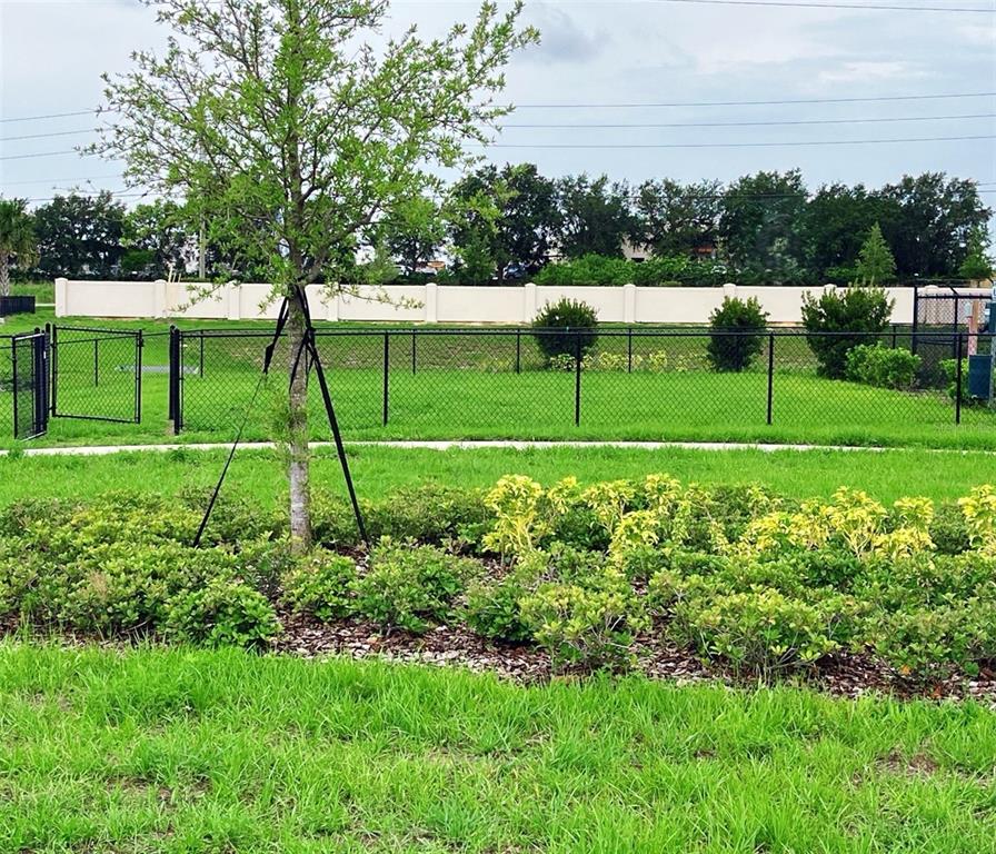 A fenced-in grassy area with a young tree and landscaping in the foreground — 702 GINGER DRIVE, HAINES CITY, FL