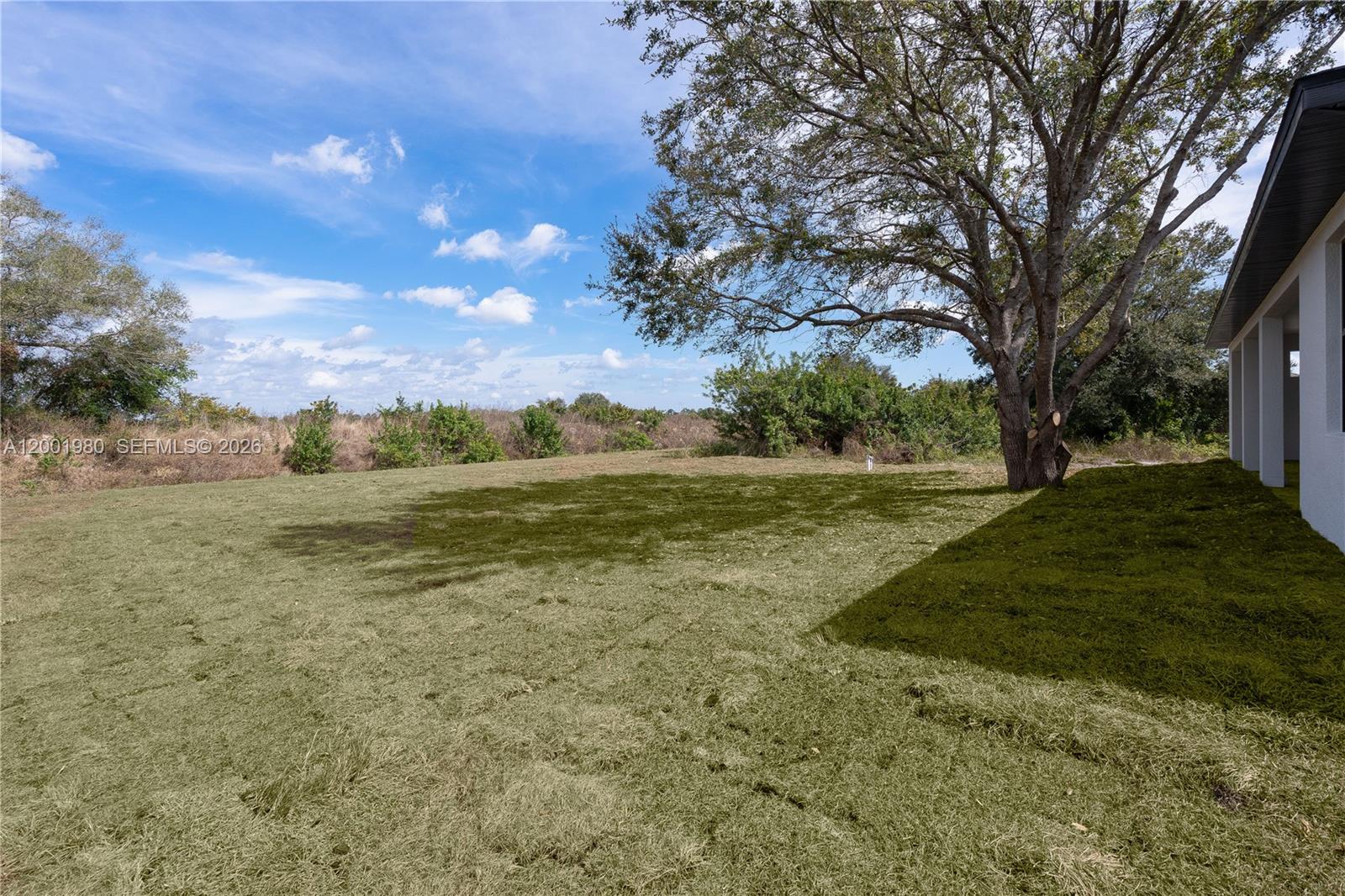 A large, grassy backyard features a mature tree and a view of natural vegetation — 529 N Theodore Vail, Lehigh Acres FL 33974, LEHIGH ACRES, FL