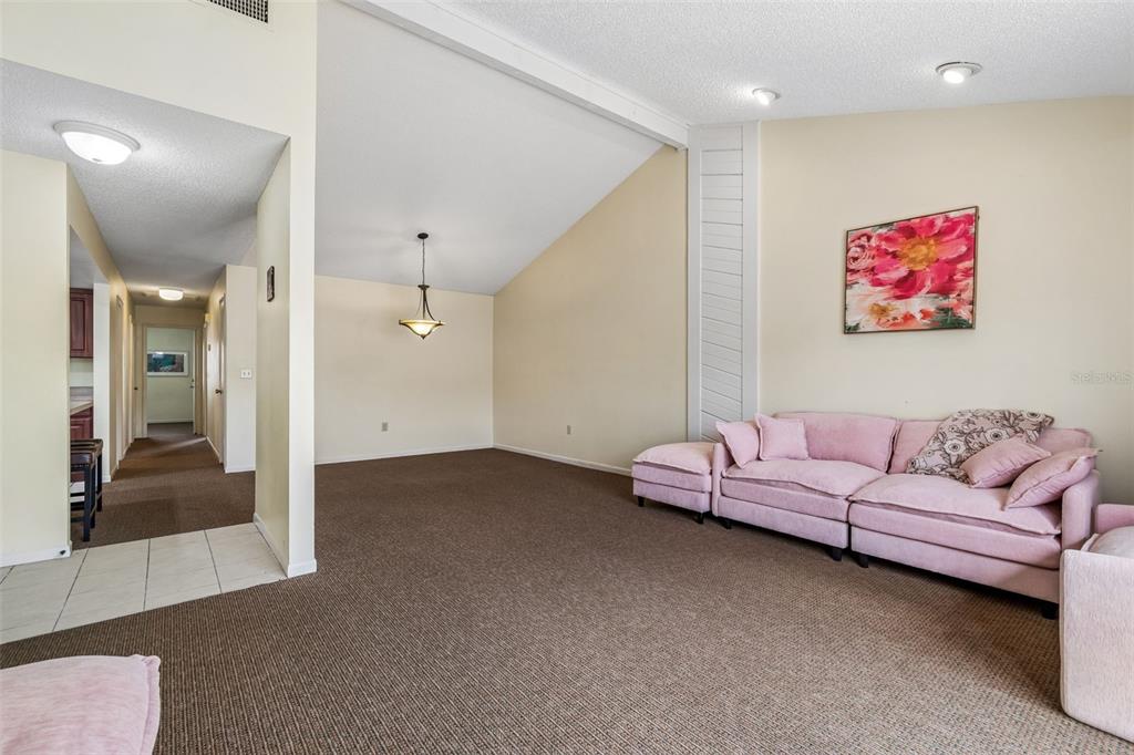 A living room features beige walls, brown carpeting, a vaulted ceiling, and a pink sofa — 4243 OAK LOOP UNIT 35, MULBERRY, FL