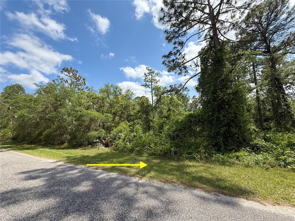 A yellow arrow points toward a wooded, undeveloped lot along a paved road — LOT 2 QUINCE AVENUE, EUSTIS, FL