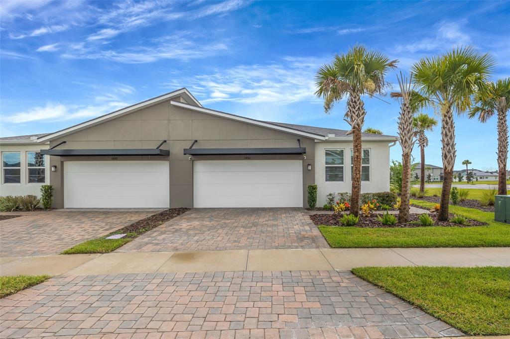 A duplex home features two white garage doors, a paved driveway, and several palm trees — 5886 TIMBERDALE AVENUE, WESLEY CHAPEL, FL
