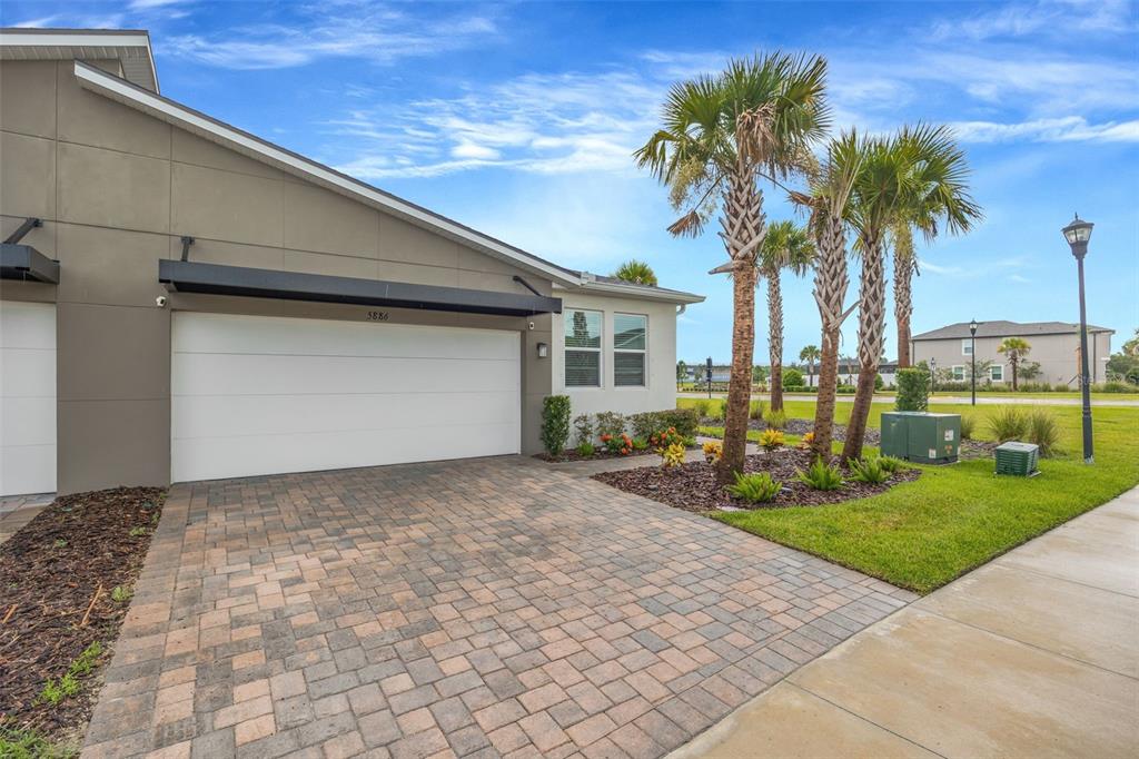 A paved driveway leads to a single-car garage of a modern house with palm trees — 5886 TIMBERDALE AVENUE, WESLEY CHAPEL, FL
