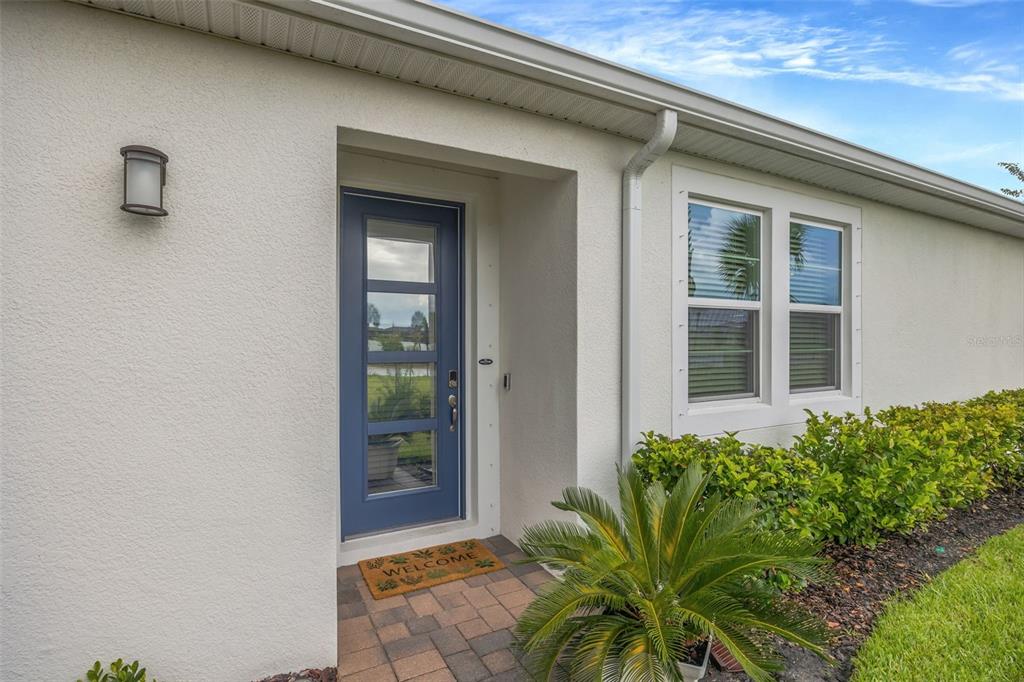 A blue front door with glass panels is set into a white stucco exterior wall — 5886 TIMBERDALE AVENUE, WESLEY CHAPEL, FL