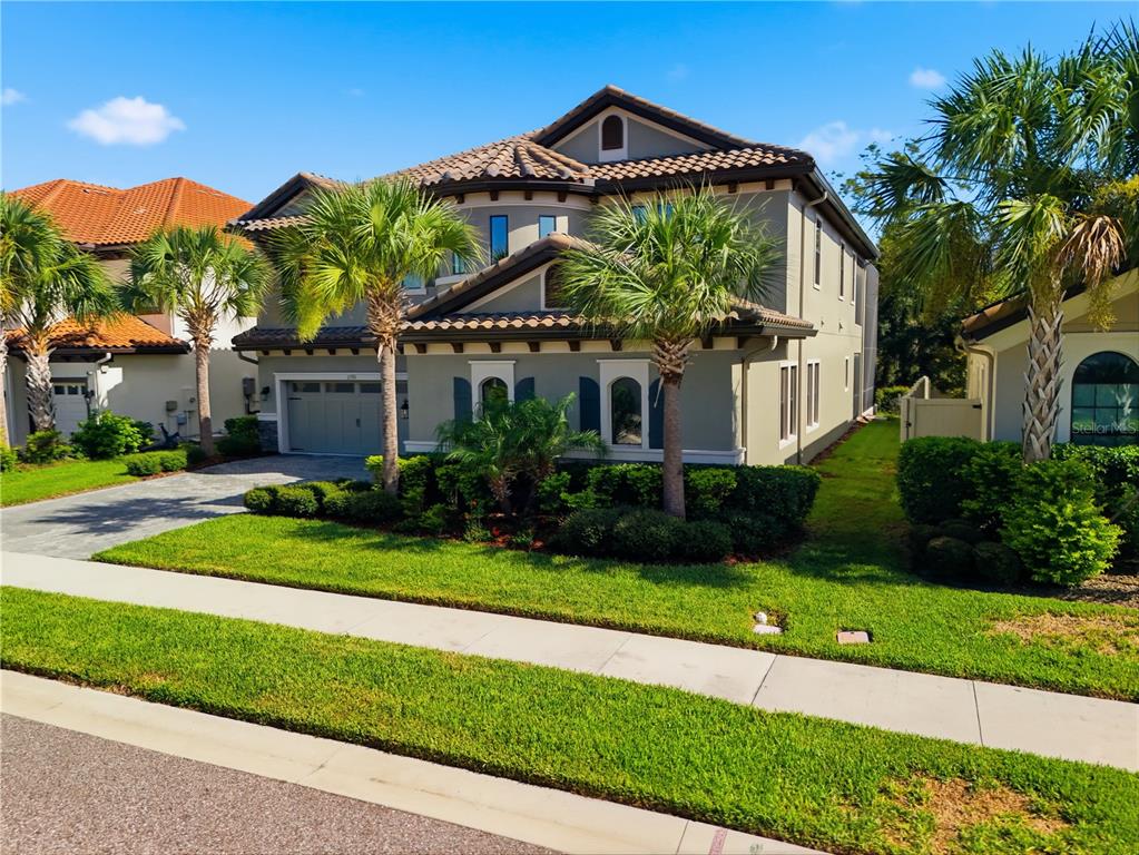 A two-story house with a tile roof, gray stucco exterior, and palm trees in front — 21711 AMELIA ROSE WAY, LAND O LAKES, FL
