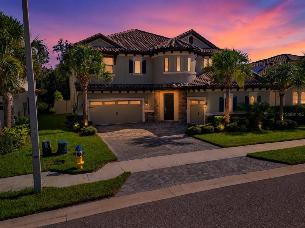 A two-story house with a paved driveway, tile roof, and palm trees at sunset — 21711 AMELIA ROSE WAY, LAND O LAKES, FL