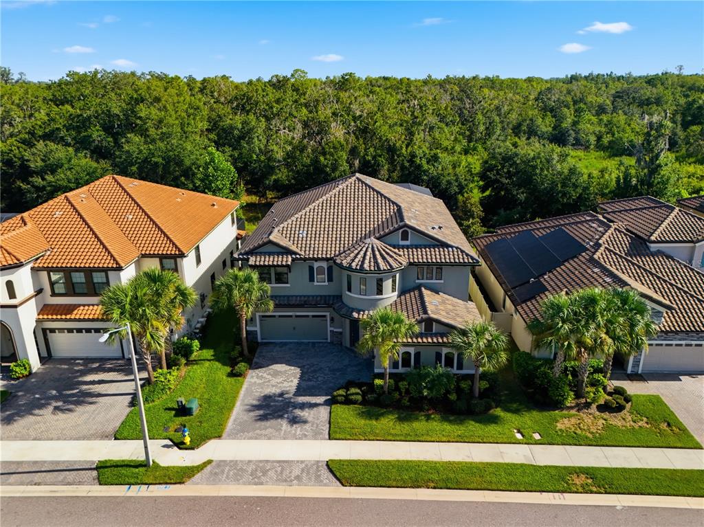 An aerial view of several suburban houses with tile roofs and paved driveways — 21711 AMELIA ROSE WAY, LAND O LAKES, FL
