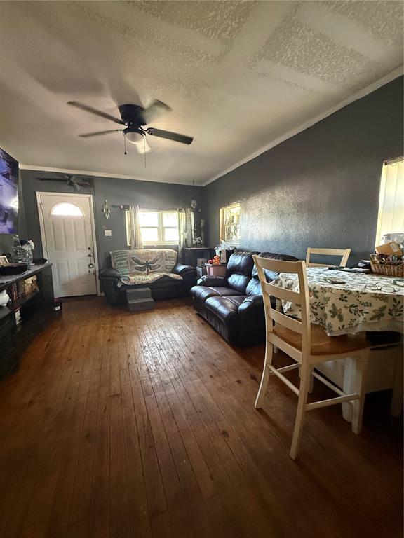 A living and dining area features dark gray walls, wood flooring, and a ceiling fan — 6100 MAIN STREET UNIT A, NEW PORT RICHEY, FL