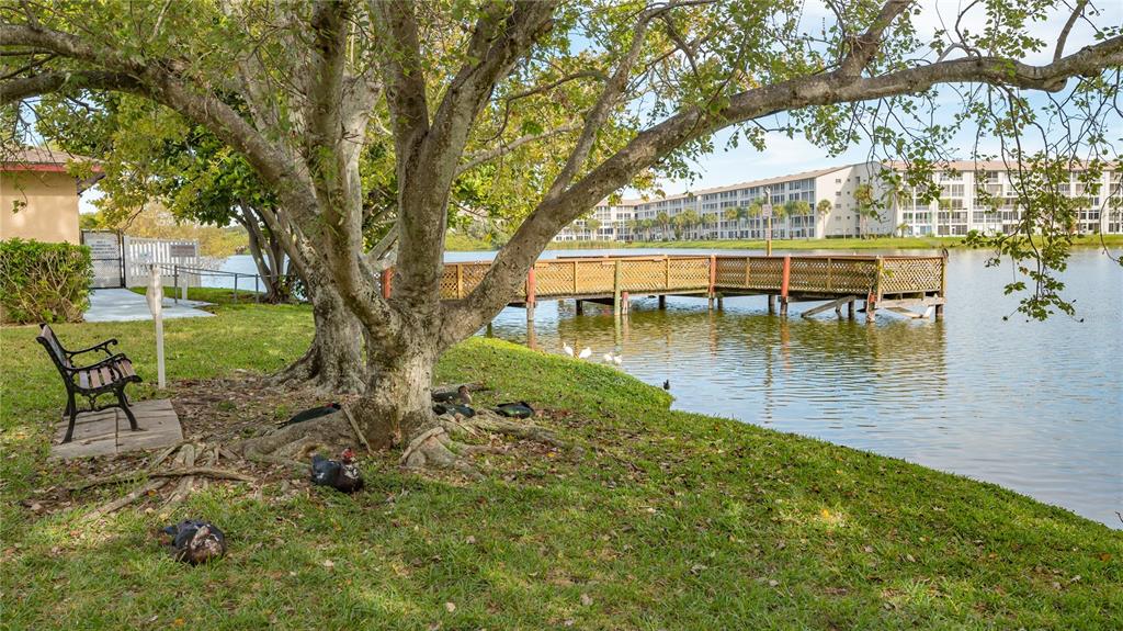 A park bench sits under a large tree near a wooden dock on a lake — 3845 LAKE BAYSHORE DRIVE UNIT F103, BRADENTON, FL
