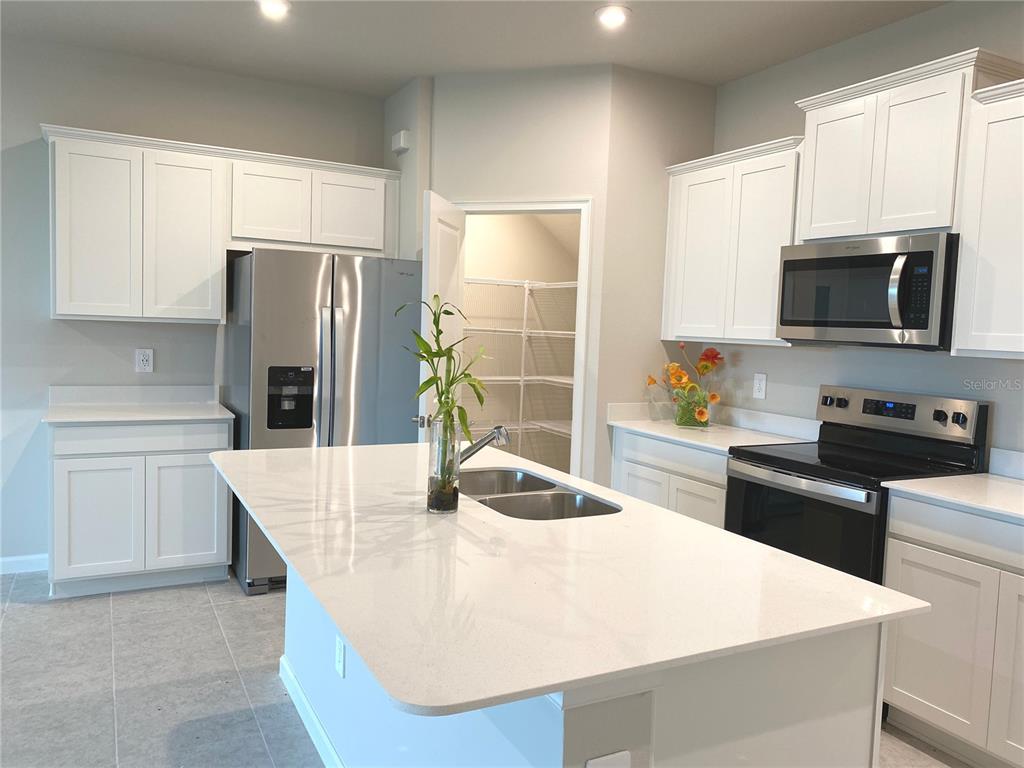 A kitchen features white cabinets, stainless steel appliances, a center island, and a walk-in pantry — 8850 GINKO RUN, PARRISH, FL