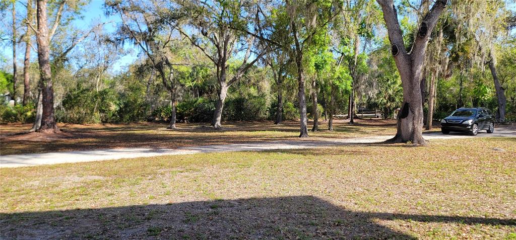 A gravel driveway leads through a wooded lot with scattered trees and a parked car — 6610 MCKOWN ROAD, SARASOTA, FL