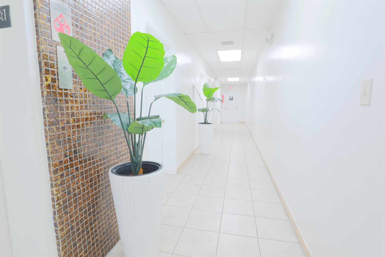 A bright hallway features white walls, tiled flooring, and two potted plants in white planters — 15490 NW 7th Avenue # B, Miami FL 33169, MIAMI, FL