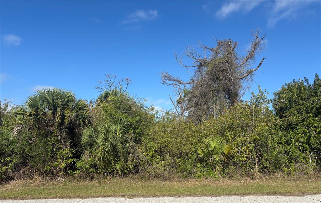 A vacant, overgrown lot with palm trees and a large, vine-covered dead tree — 7091 EMBRY STREET, PORT CHARLOTTE, FL