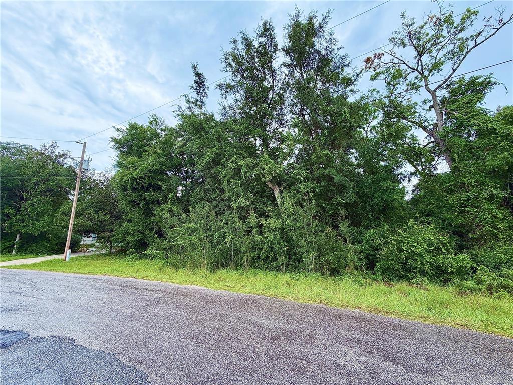 A paved road runs alongside a dense, wooded lot with tall trees and green undergrowth — 0 SE 175TH TER RD, SILVER SPRINGS, FL