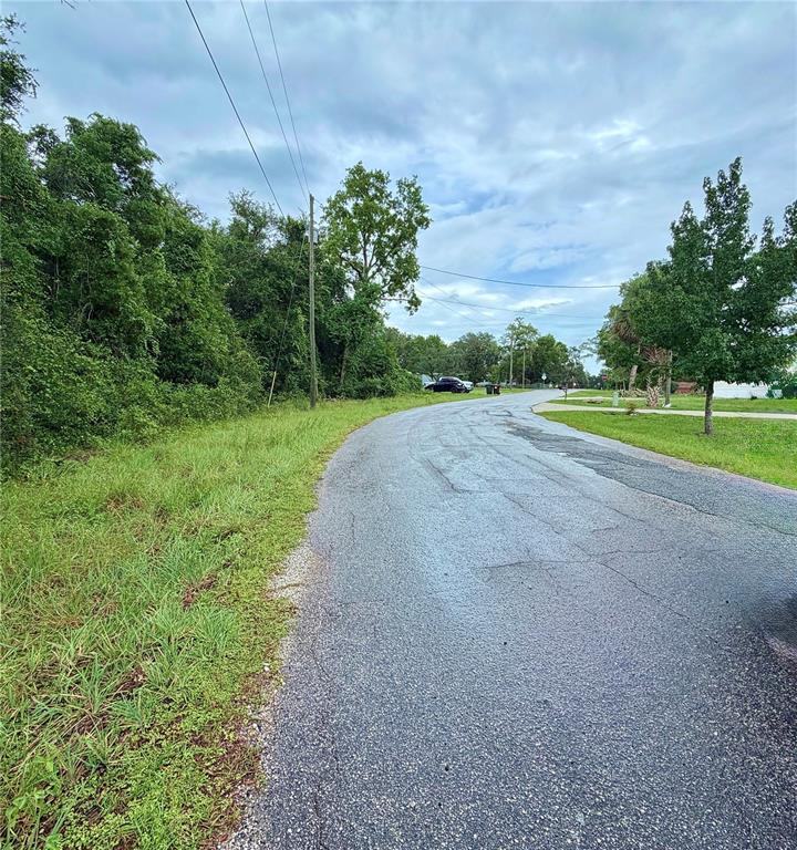 A paved road curves past a grassy shoulder and dense trees under a cloudy sky — 0 SE 175TH TER RD, SILVER SPRINGS, FL