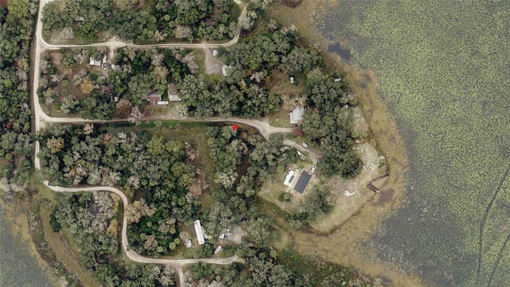 This aerial view shows a wooded residential area with dirt roads bordering a large lake — NE 155TH LANE, CITRA, FL