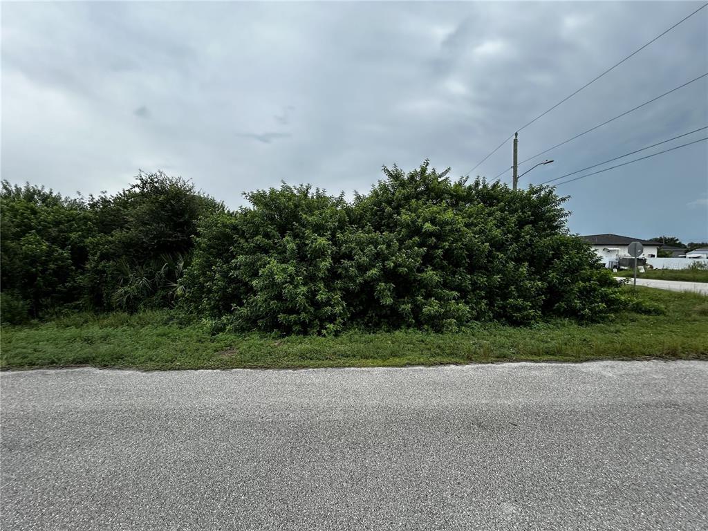 A vacant, overgrown lot sits beside a paved road under a cloudy sky — 165 PEMBROKE STREET, LEHIGH ACRES, FL