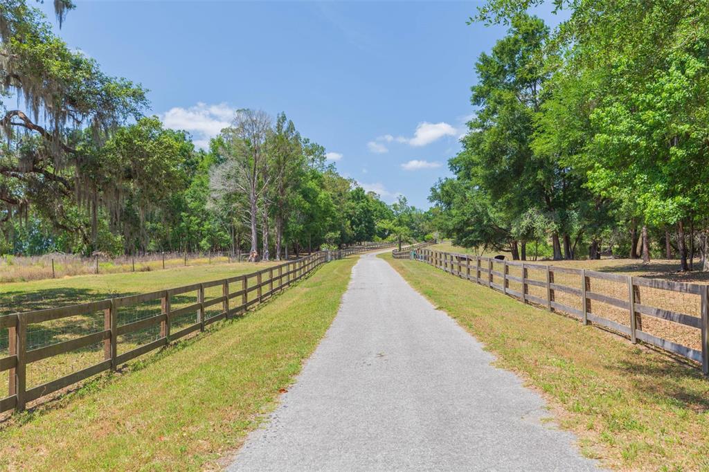 A gravel driveway stretches between two wooden fences lined with trees under a blue sky — 34211 BLANTON ROAD, DADE CITY, FL