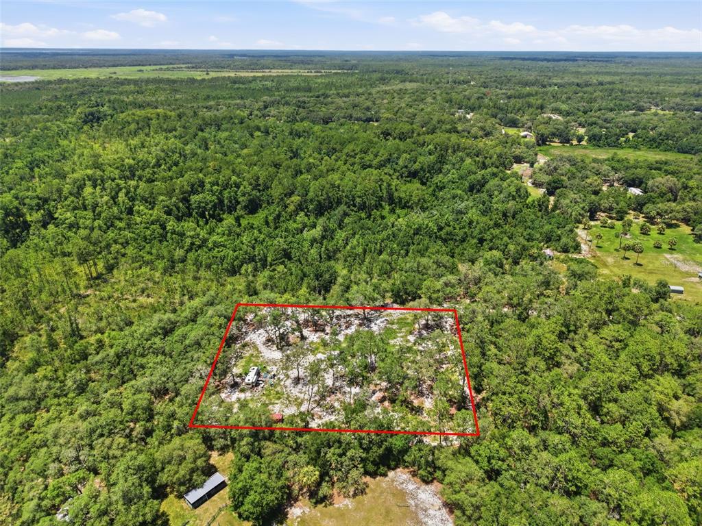 An aerial view shows a rectangular plot of land outlined in red amidst dense forest — 6900 NE 195TH STREET, CITRA, FL
