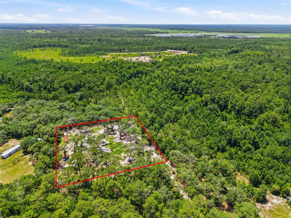 An aerial view shows a rectangular plot of land outlined in red amidst dense forest — 6900 NE 195TH STREET, CITRA, FL