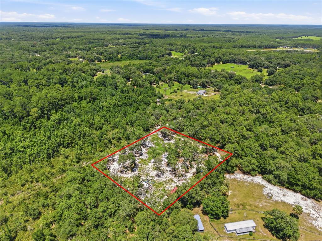 An aerial view shows a rectangular plot of land outlined in red amidst dense forest — 6900 NE 195TH STREET, CITRA, FL