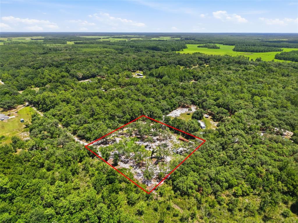An aerial view shows a rectangular plot of land outlined in red amidst dense forest — 6900 NE 195TH STREET, CITRA, FL