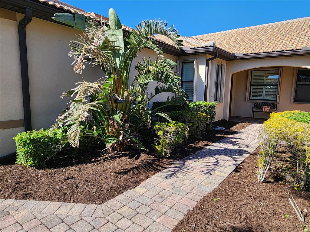 A paved walkway leads to the entrance of a house with a large tropical plant — 13892 ALAFAYA STREET, VENICE, FL
