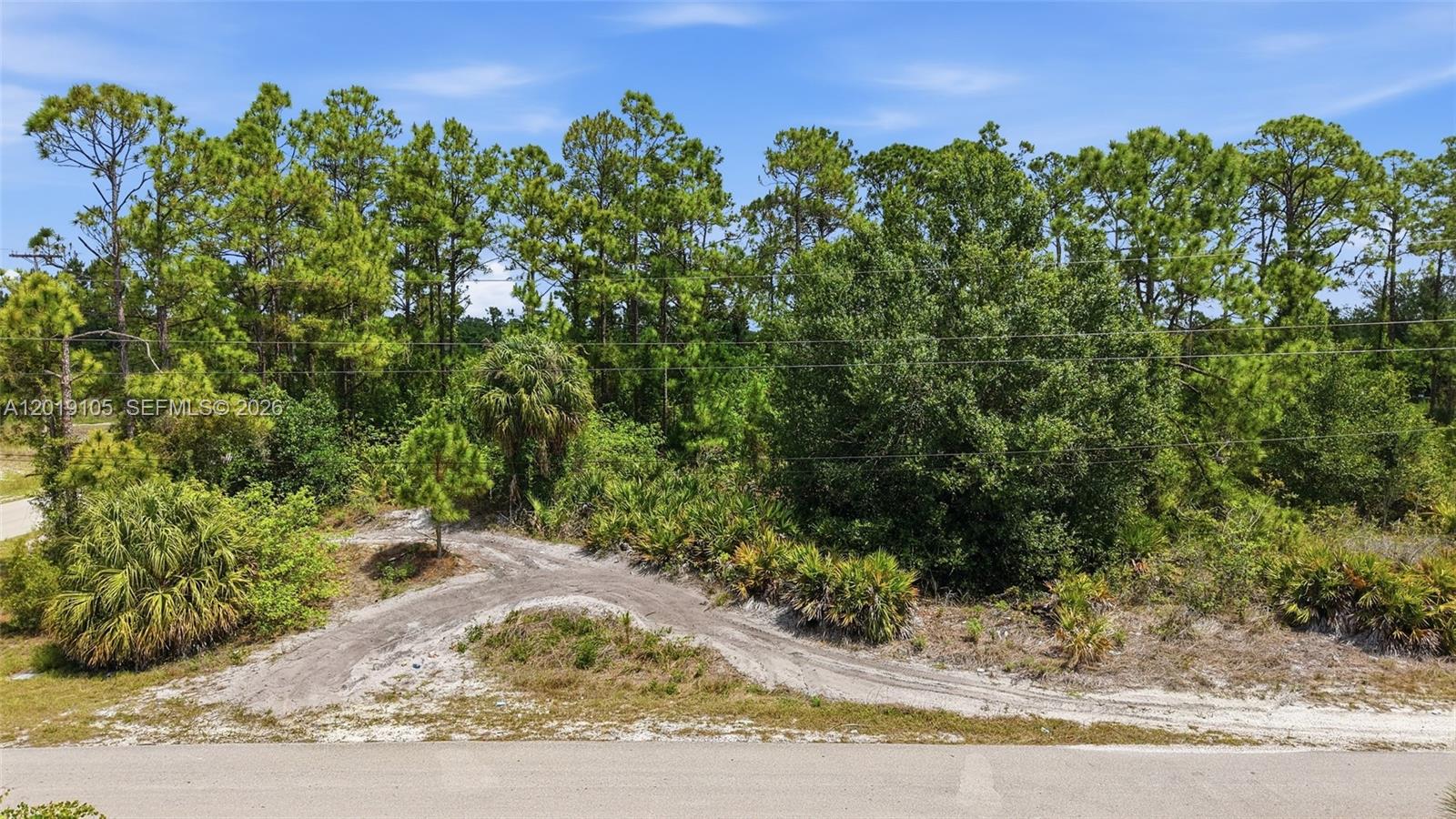A dirt path leads into a wooded lot with pine trees and low-lying vegetation — 911 Sterling, Lehigh Acres FL 33974, LEHIGH ACRES, FL