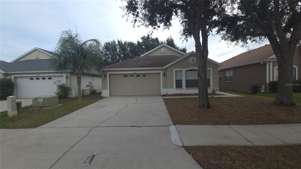17417 LAWN ORCHID LOOP