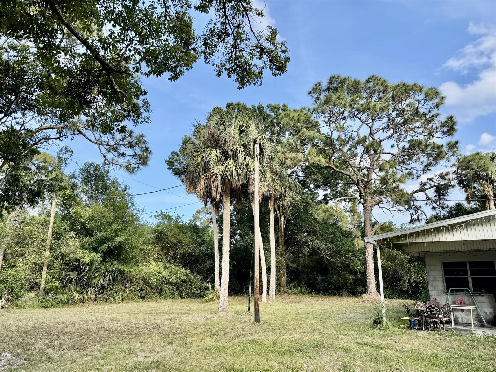 A grassy backyard features several palm trees, a utility pole, and the side of a house — 2289 NW 32nd Drive, Okeechobee FL 34972, OKEECHOBEE, FL