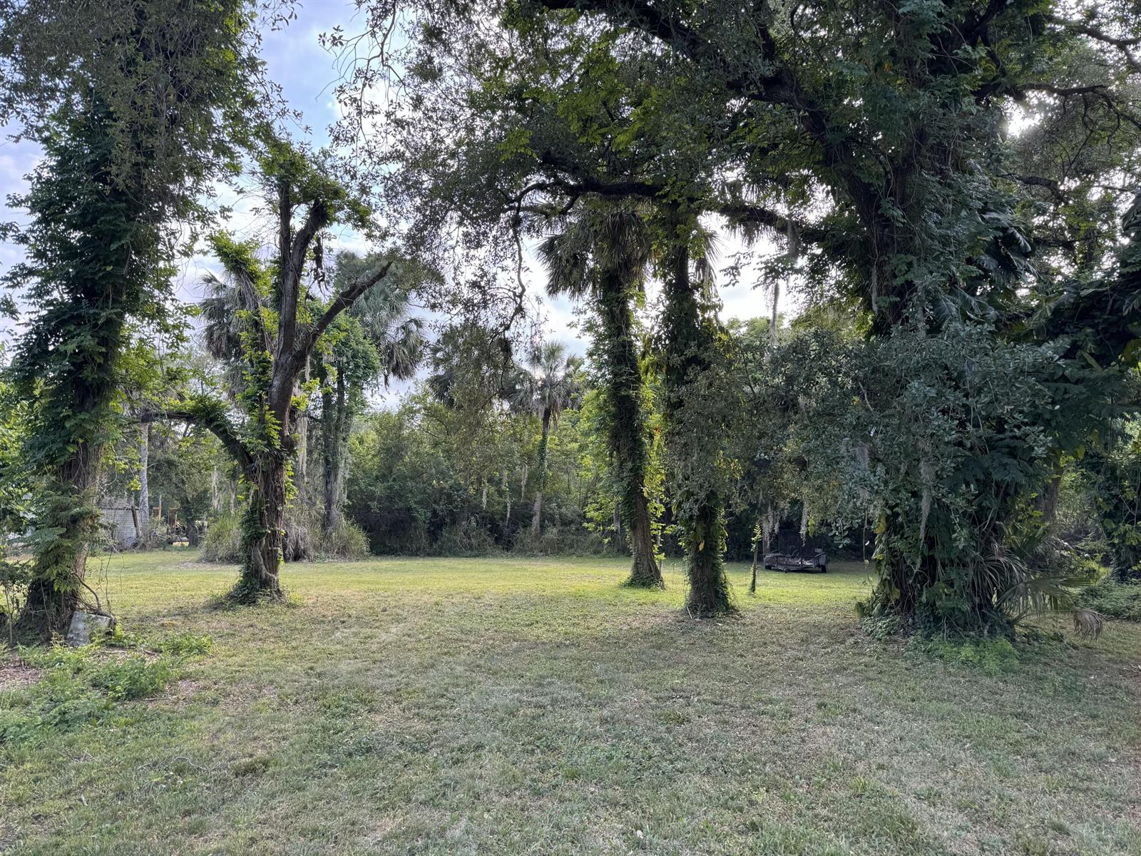 A grassy yard is framed by several large, mature trees covered in vines and moss — 2289 NW 32nd Drive, Okeechobee FL 34972, OKEECHOBEE, FL