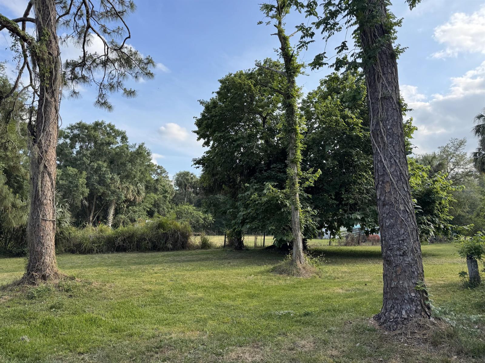 A grassy backyard features several large, mature trees and a dense wooded area in the background — 2289 NW 32nd Drive, Okeechobee FL 34972, OKEECHOBEE, FL