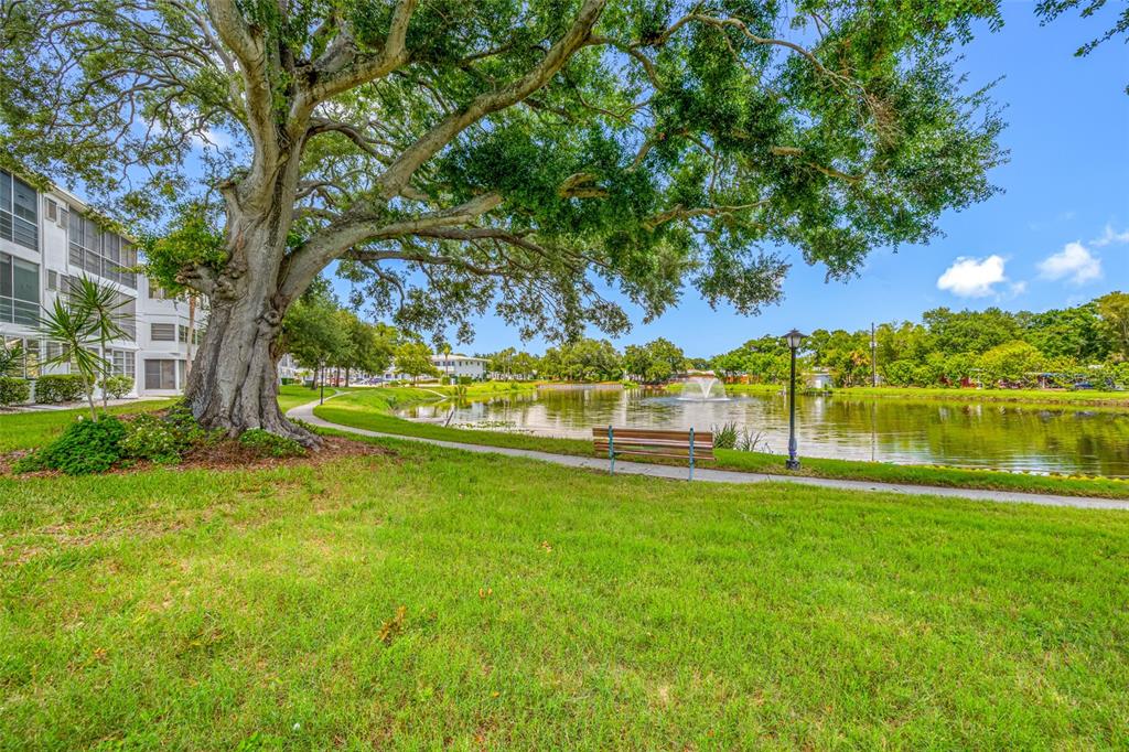 A large tree shades a park bench and walkway beside a pond with a fountain — 8075 112TH STREET UNIT 104, SEMINOLE, FL