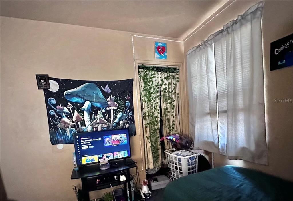 A bedroom features a mushroom-themed wall tapestry, a television on a stand, and a window — 3806 W WALLACE AVENUE, TAMPA, FL