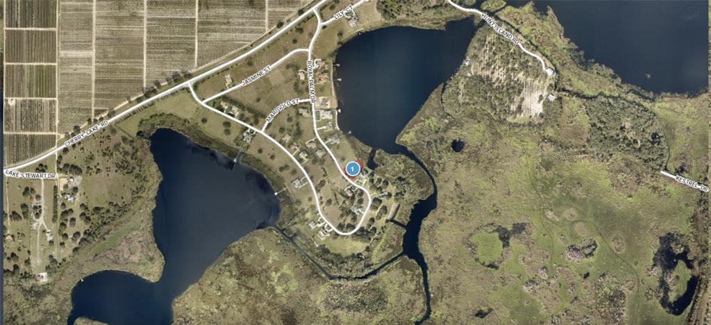 This is an aerial map showing a residential neighborhood situated between two lakes — Lot 39 ROYAL PALM DRIVE, GROVELAND, FL