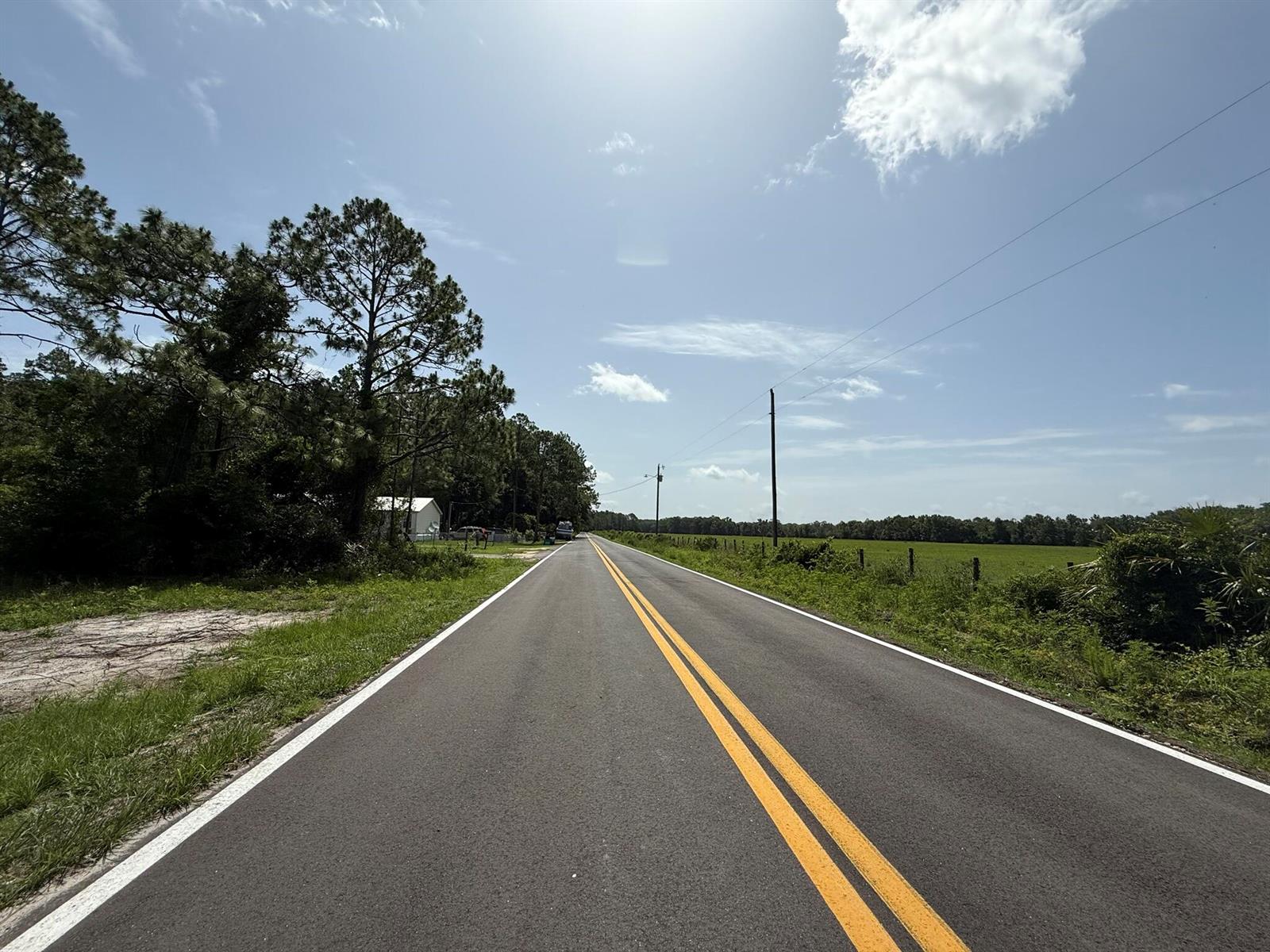 A paved road with double yellow lines stretches through a rural landscape with trees and fields — 174 Millican Road, Palatka FL 32177, PALATKA, FL