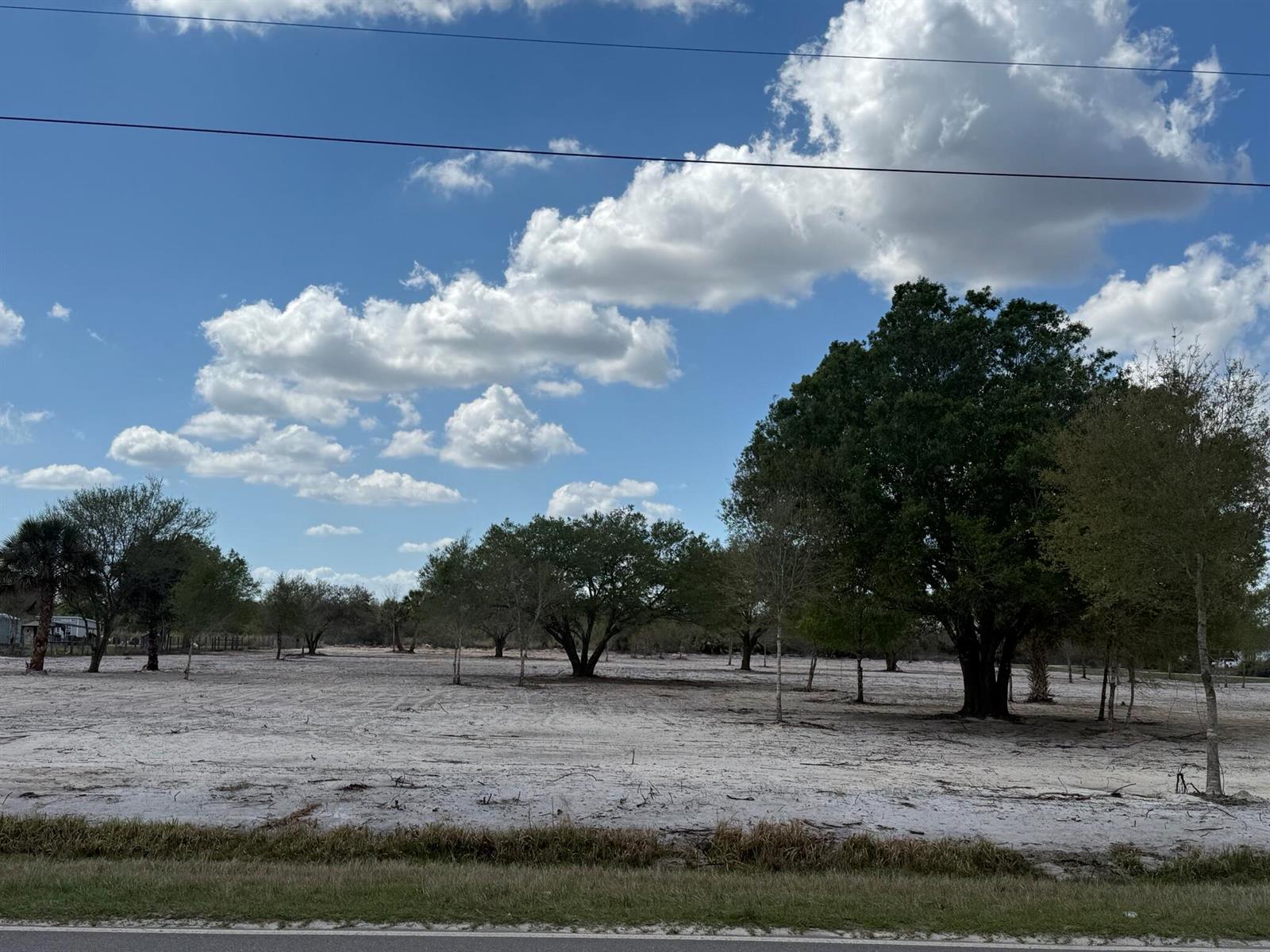 A wide, cleared sandy lot features several mature trees under a bright, cloudy blue sky — 14416 NW 252nd Street, Okeechobee FL 34972, OKEECHOBEE, FL