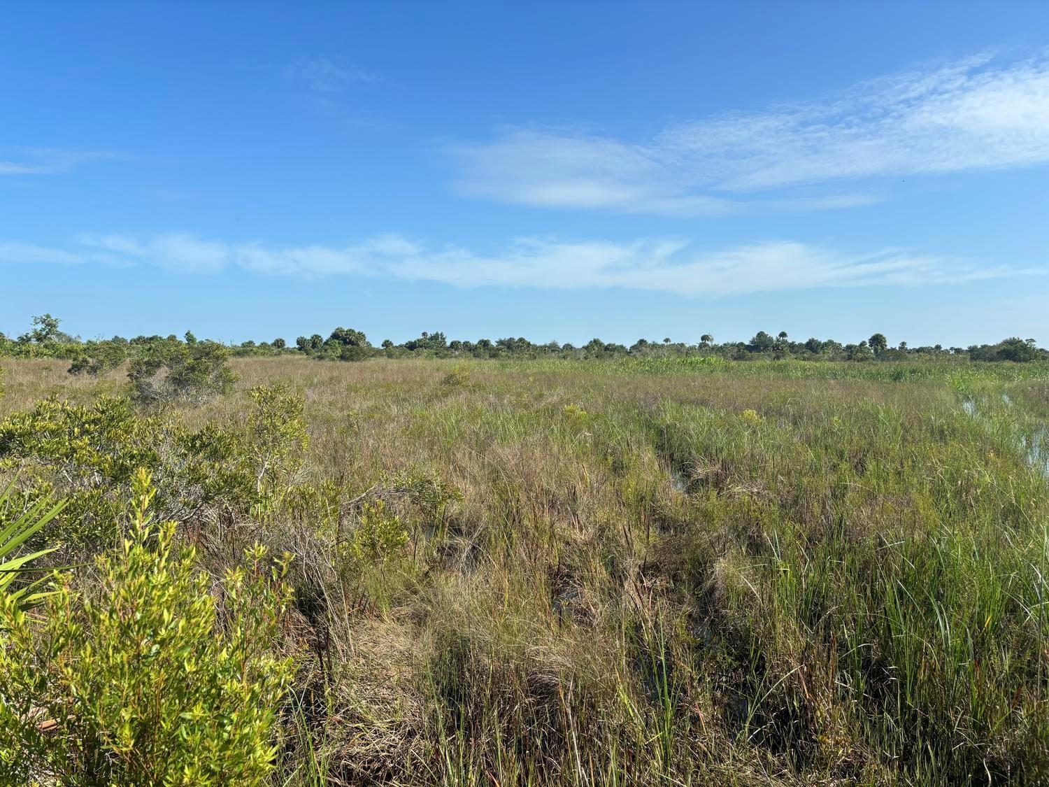A wide, grassy wetland area under a clear blue sky with distant trees — 0 NW 318th Street, Okeechobee FL 34972, OKEECHOBEE, FL