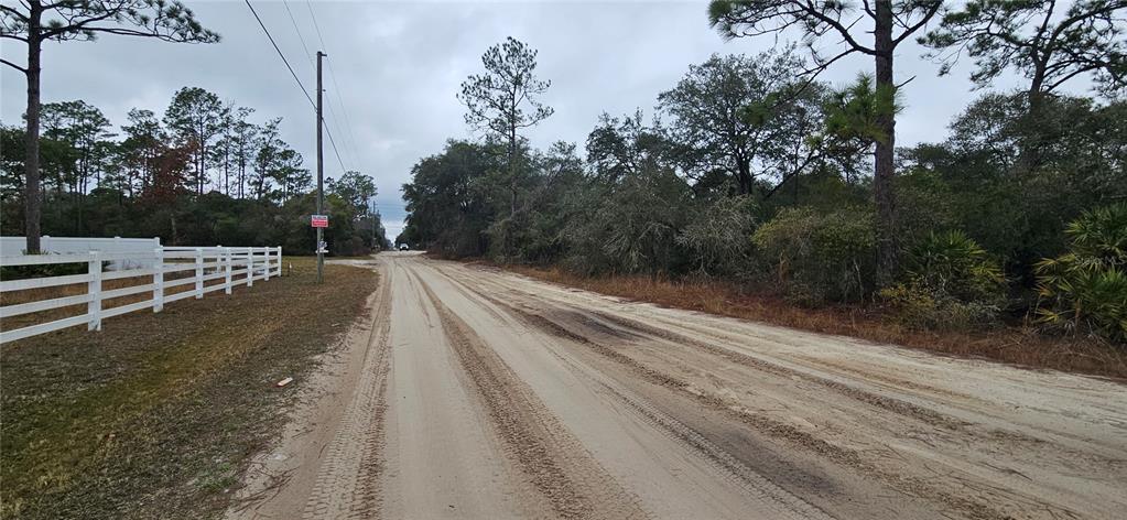 A dirt road runs between a white fence and a wooded area under a cloudy sky — SW 155TH STREET, DUNNELLON, FL
