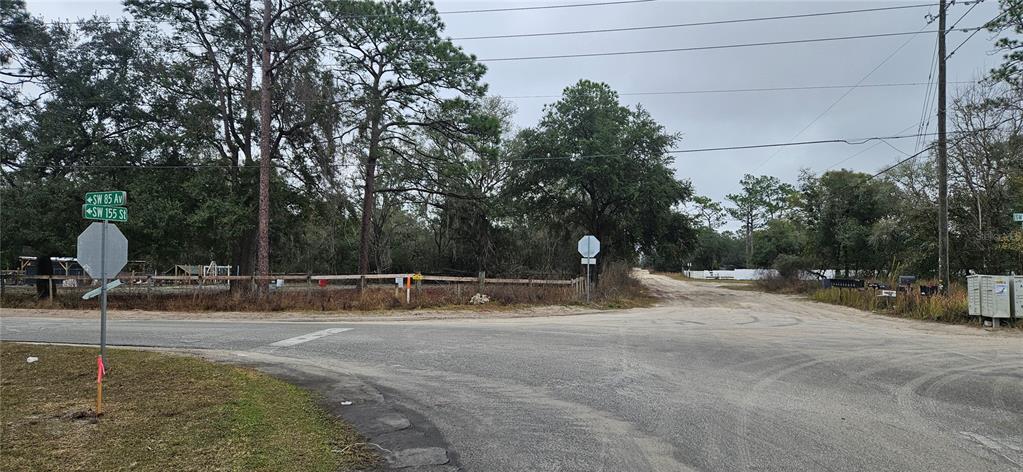 A rural intersection features a stop sign, street signs, and a dirt road entrance — SW 155TH STREET, DUNNELLON, FL