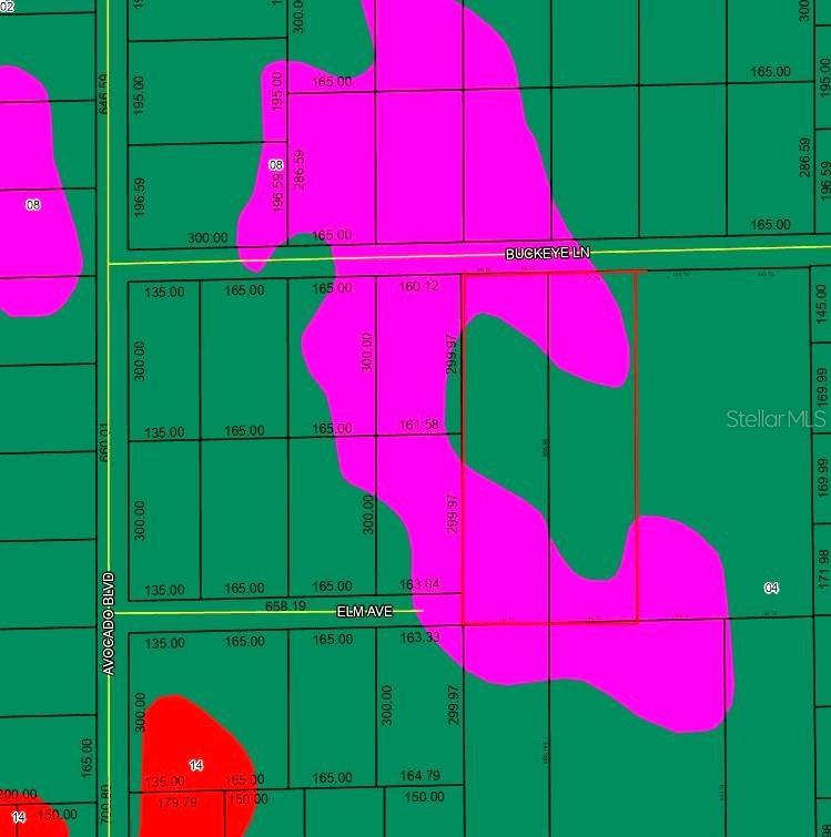 This is a land survey map showing property parcels, street names, and lot dimensions — 5799 BUCKEYE LANE, BUNNELL, FL